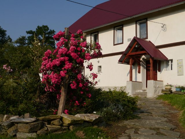 Widok na dom z ogrodu